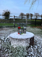 Christmas 500ml interior stocking filler