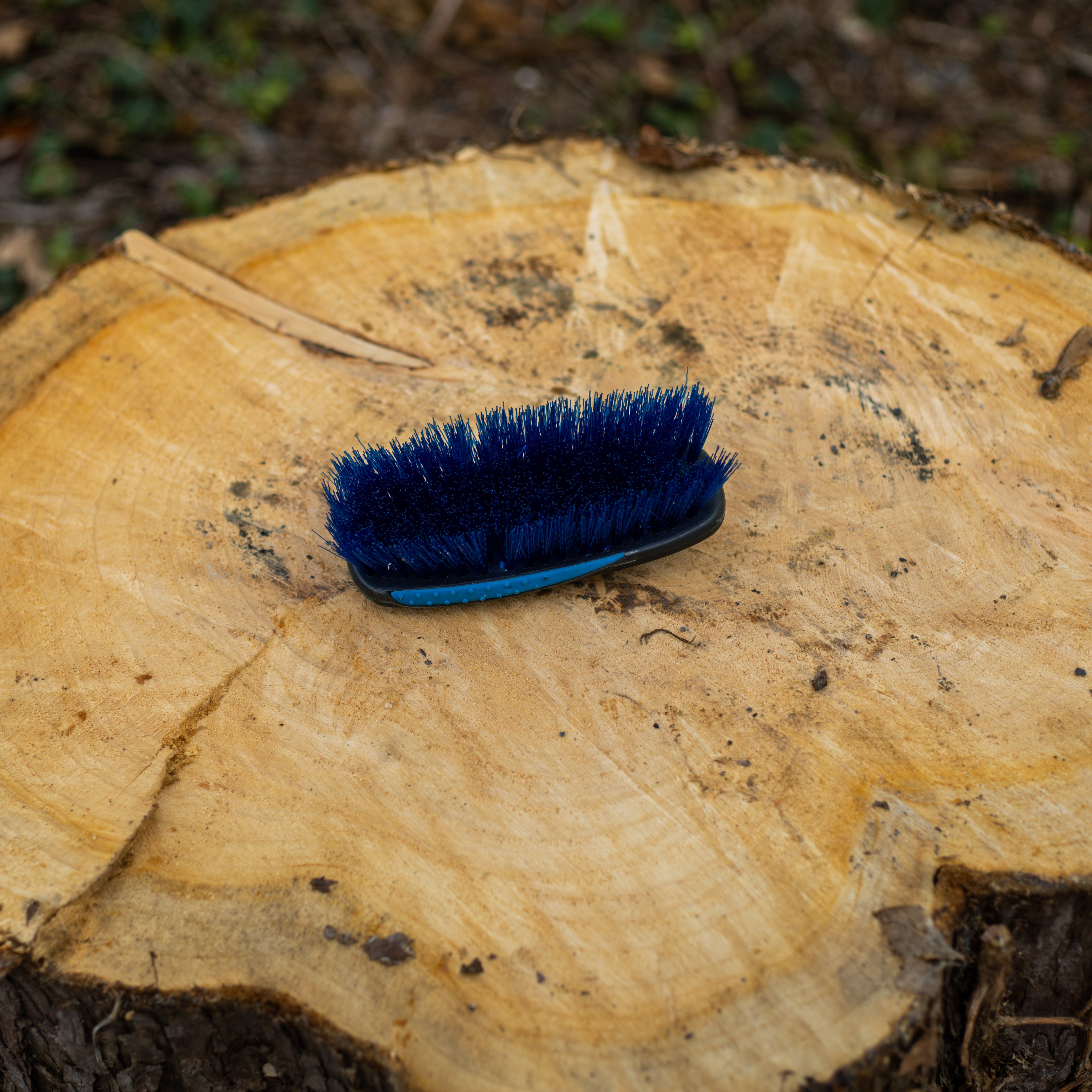 Upholstery Brush